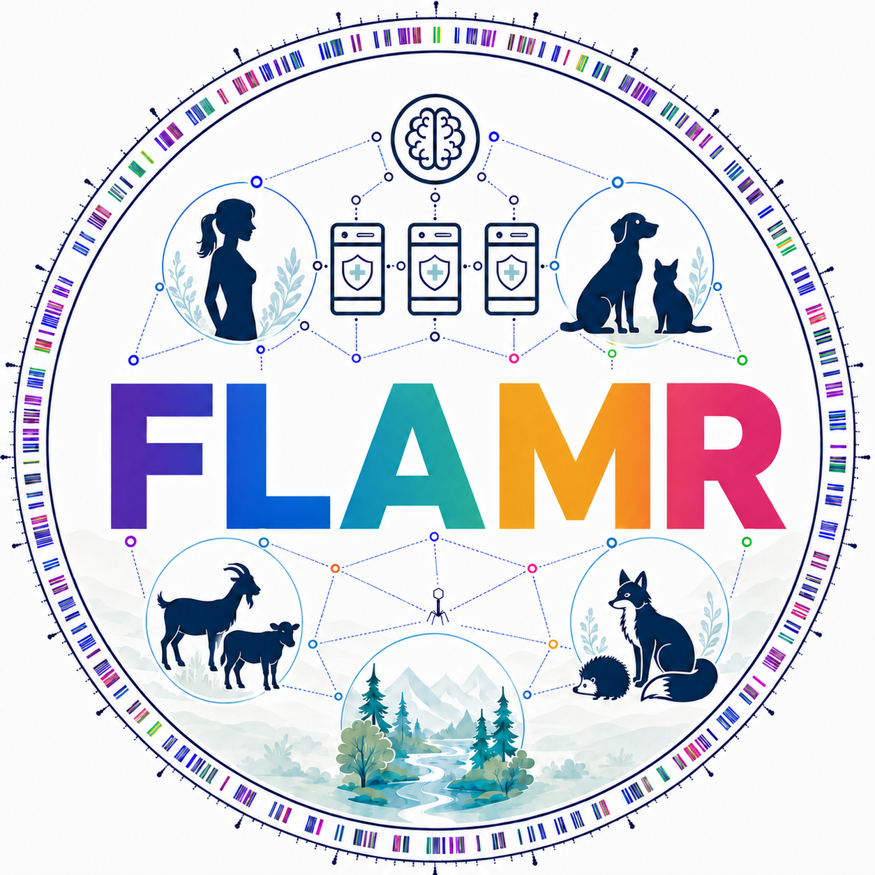 FLAMR